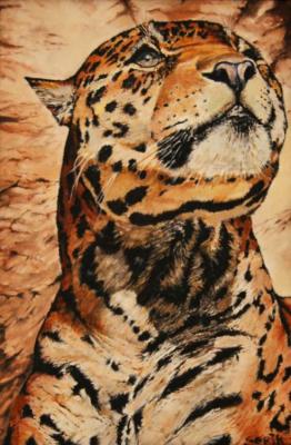 Wild cat. Kirillov Sergey