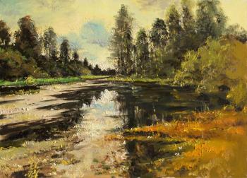 On the overgrown pond