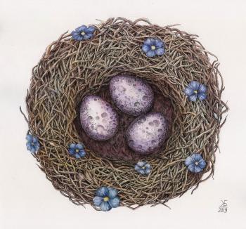 Spring (from the "Nests" series)