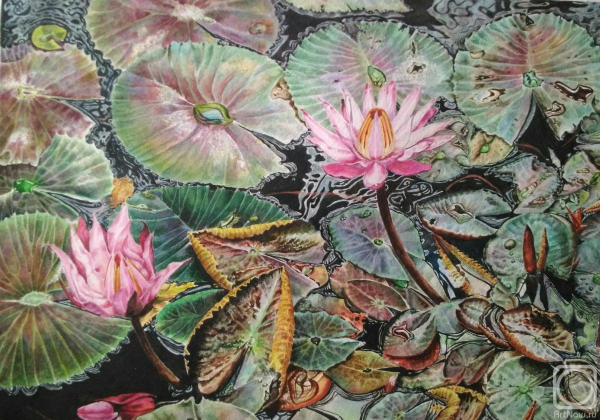 �������. ��������� ����. ����� �����