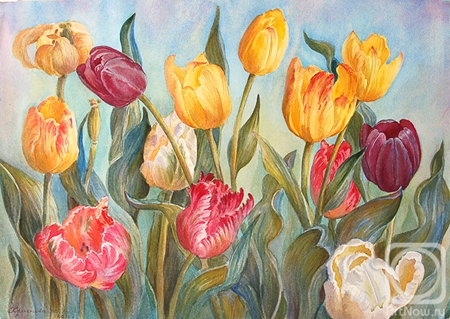 Krasnova Yulia. Multicolored tulips