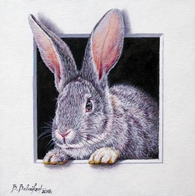 Rabbit (Easter_Bunny). Vaveykin Viktor