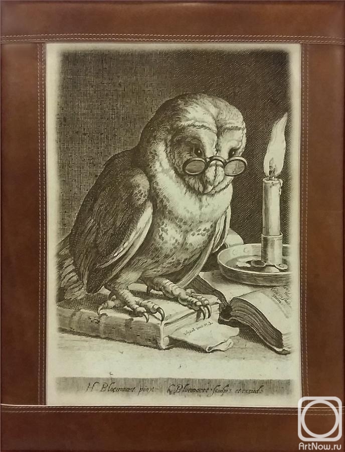 Kolotikhin Mikhail. An owl sitting on the income book