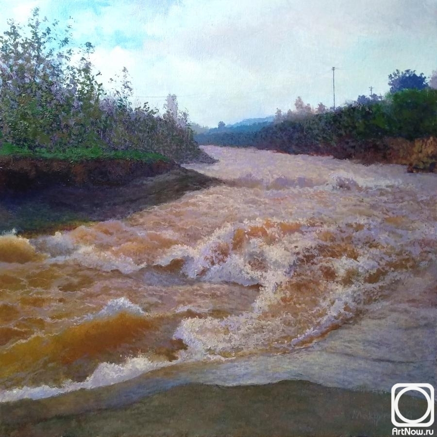 Makrukha Sergey. The Kuma river after the rain