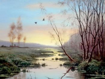 Dawn in the swamp. Yarcev Yuri