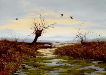 ����. ����� ����