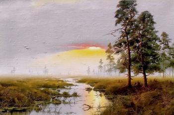 Sunset in the Swamp. Yarcev Yuri