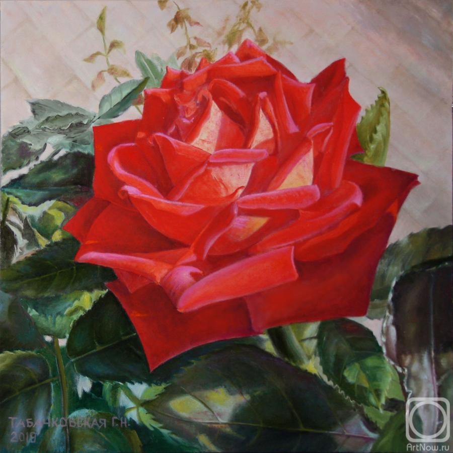 Kudryashov Galina. Red Rose