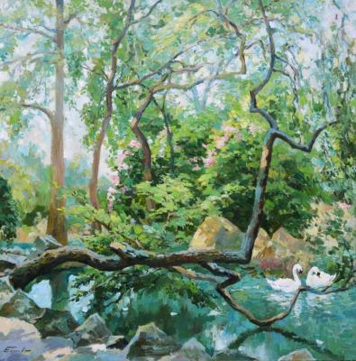 ������� ����� � ��������