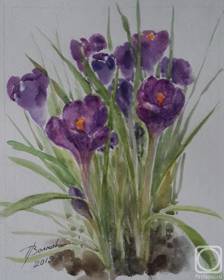 �������. ������� �������. �������