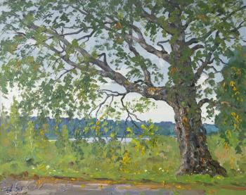 Painting Lonely birch, Petrovskoe estate. Alexandrovsky Alexander