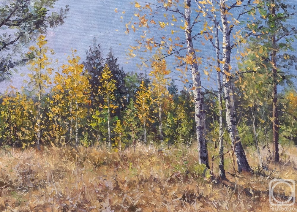 Volya Alexander. Birch trees
