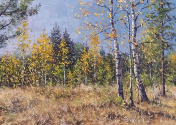 Birch trees. Volya Alexander