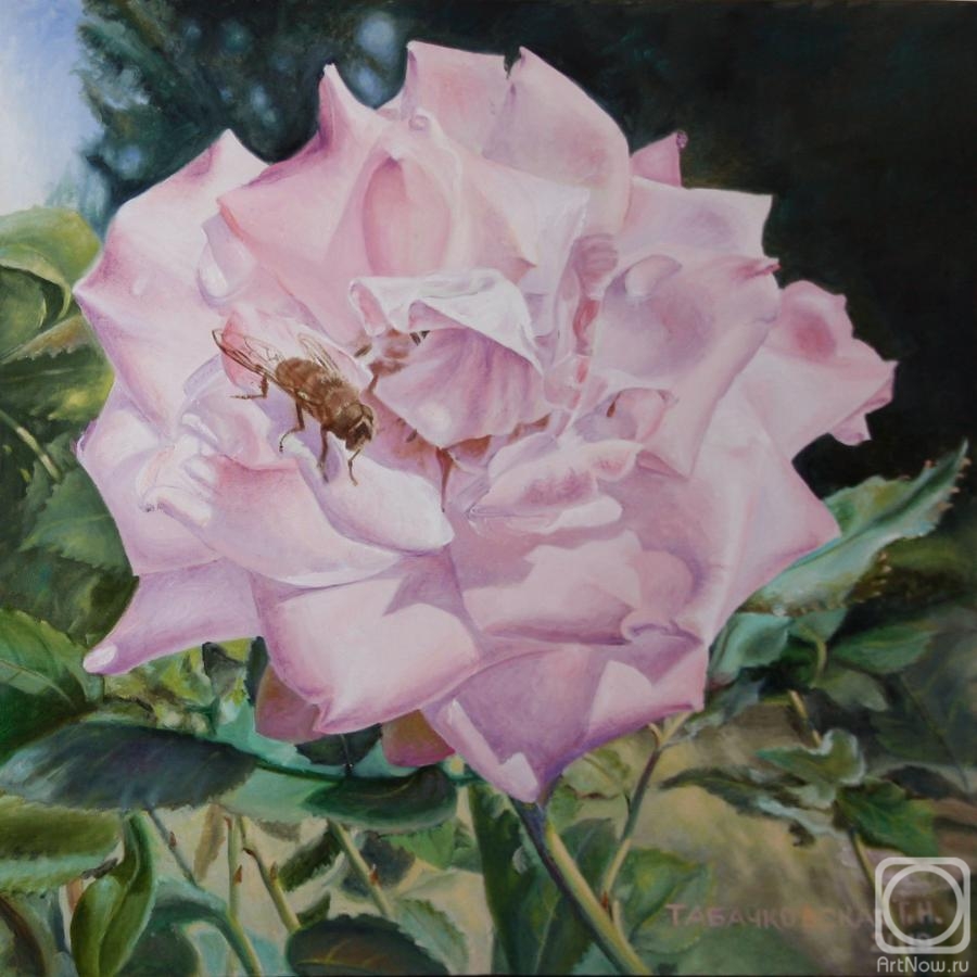 Kudryashov Galina. Rose with delicate petals