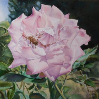 Rose with delicate petals (Landscape With Rose). Kudryashov Galina