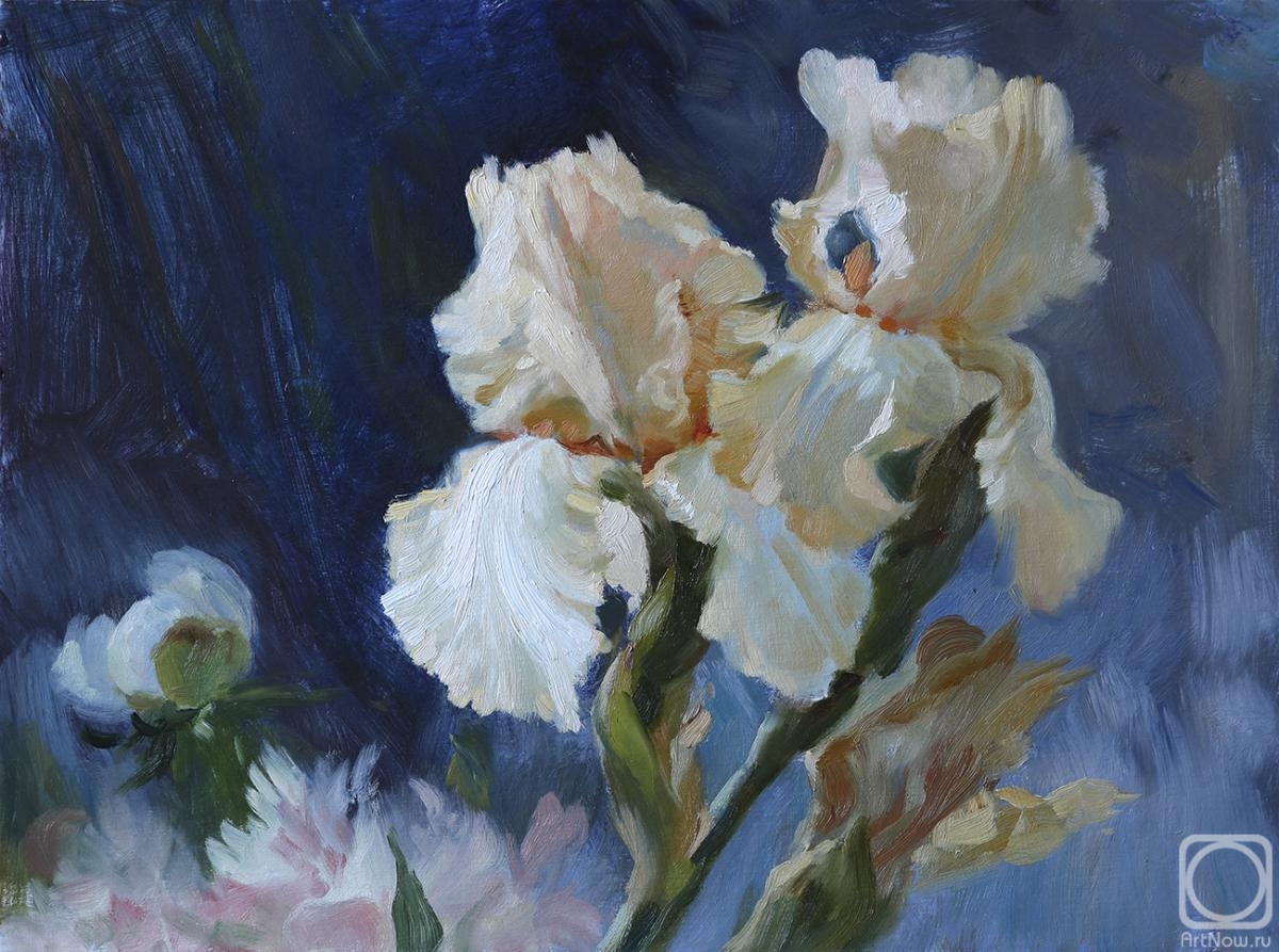 Averina Kseniya. Irises