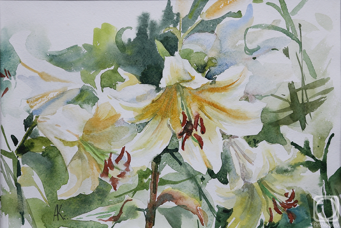 Averina Kseniya. White lilies