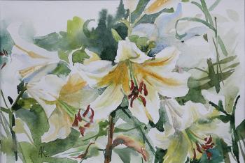 White lilies. Averina Kseniya