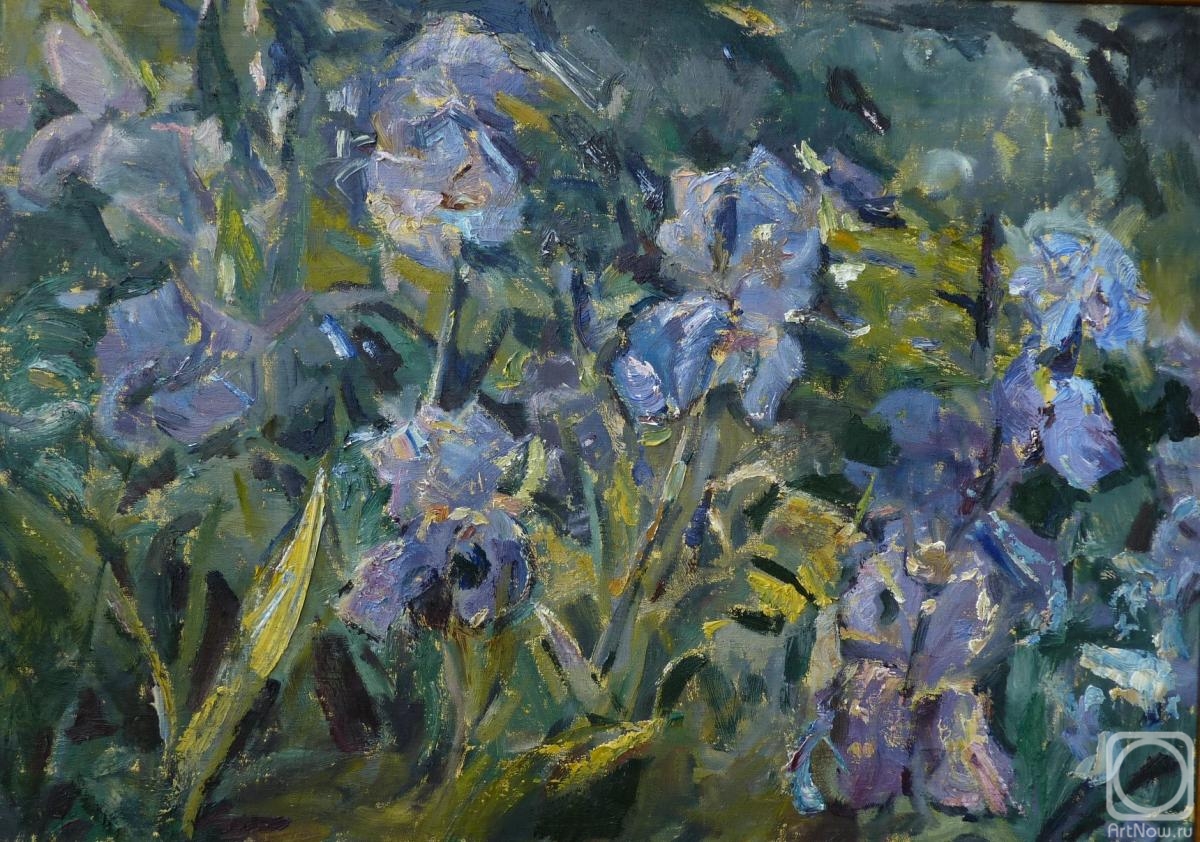 Komov Alexey. Irises in the garden