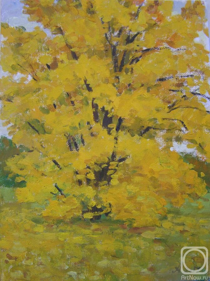 Homyakov Aleksey. Autumn maple