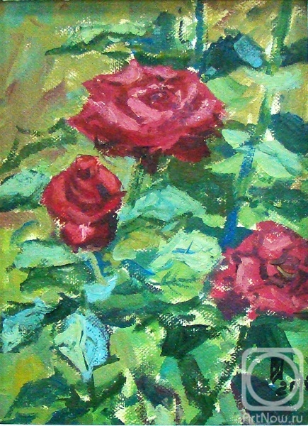 Zlobin Pavel. Red roses
