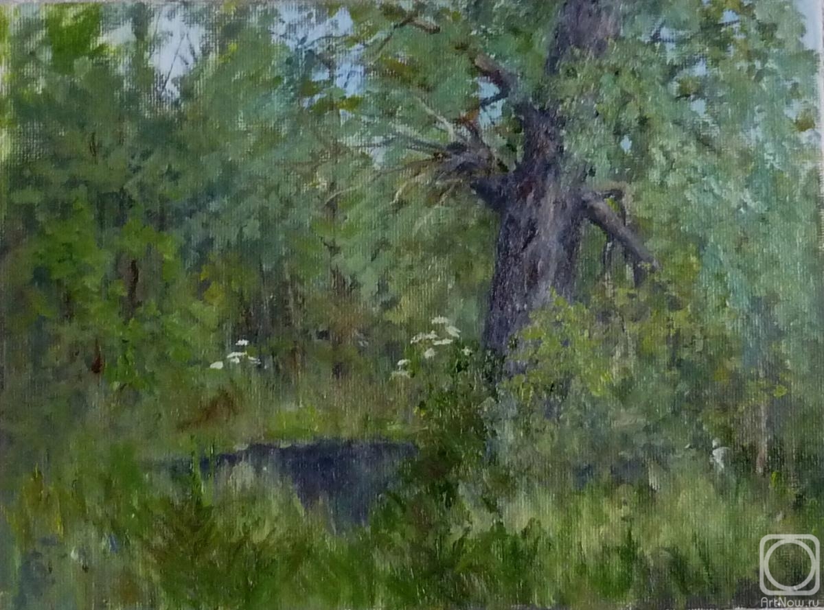 Shatalov Sergey. Old willow