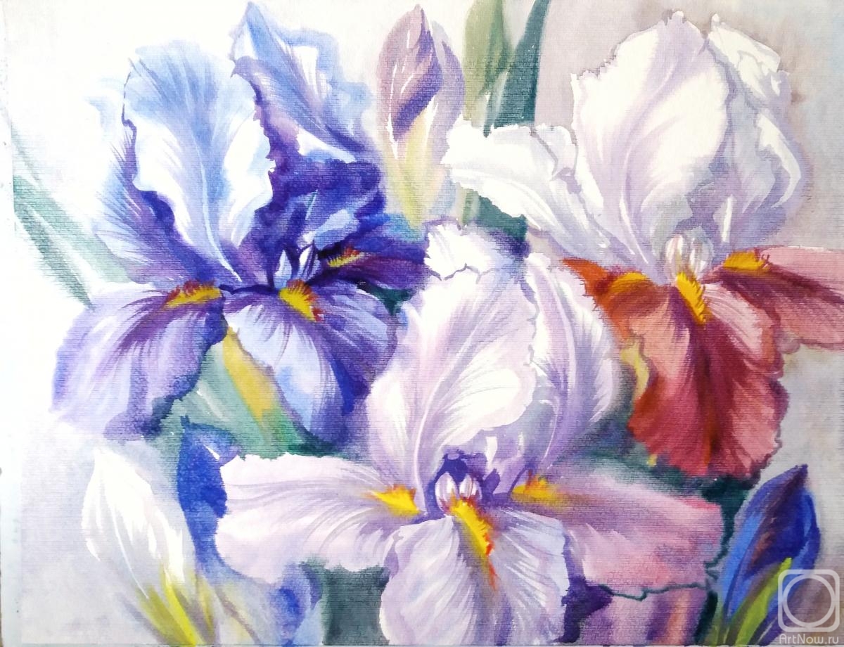 Mikhalskaya Katya. Irises spring