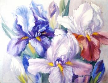 Irises spring
