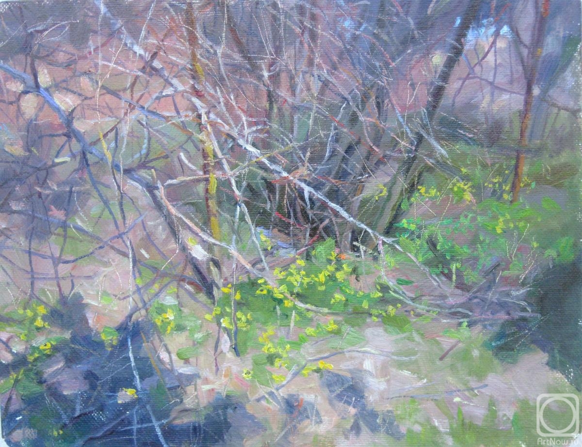 ������� ������ �� ������. ������� ��������. �������� ����