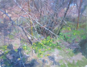 ������� ��������� ����