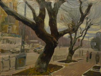 The ity trees in the late autimn. Komov Alexey