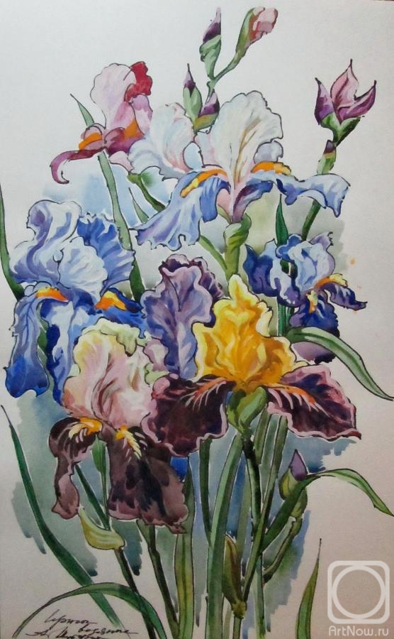 �������. ������ �������. ����� �������