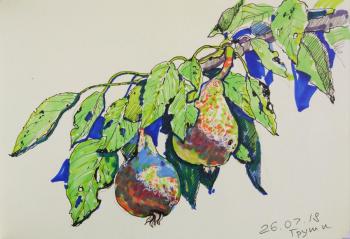 ������� ����."�����". ������� ����