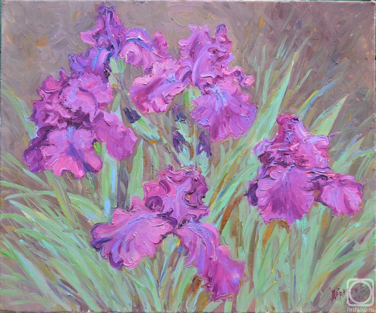 Deryabin Evgeniy. Morning irises
