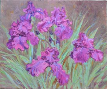 Morning irises. Deryabin Evgeniy