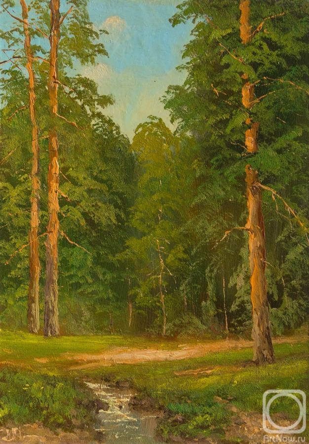 Lyamin Nikolay. Forest stream