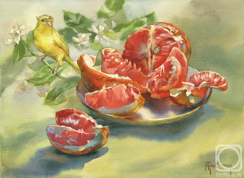 Pugachev Pavel. Grapefruit and Canary