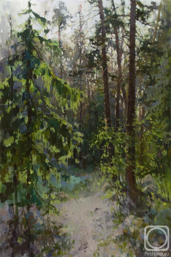 Zhilov Andrey. On the forest trail