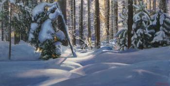 Winter, forest in snow