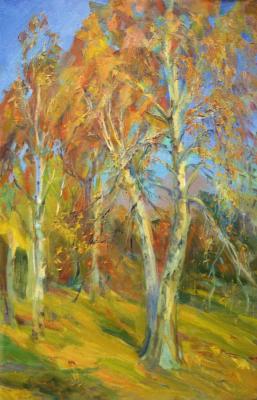 Birch autumn veil. Mirgorod Irina