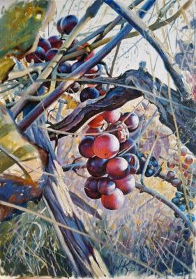 ������� ���������