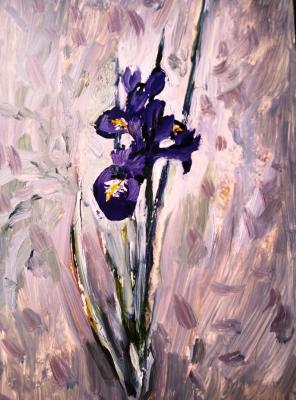 Two early irises