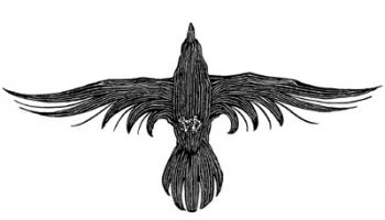 Black Bird Gustav Meyrink