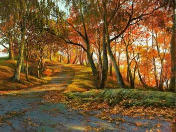 11 �� ����