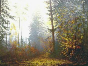 ������� �28 ������ ������