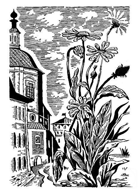 �������. �������� ��������. ������� ��� ��������