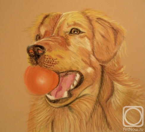 �������. �������� ������. ����