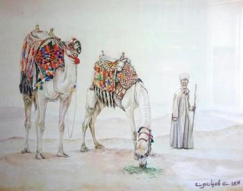 Cairo. Camel. Gretsov Sergei