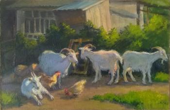 Four goats (etude) (Livestock). Shumakova Elena