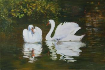 Swan fidelity (A Pair Of Swans). Kudryashov Galina